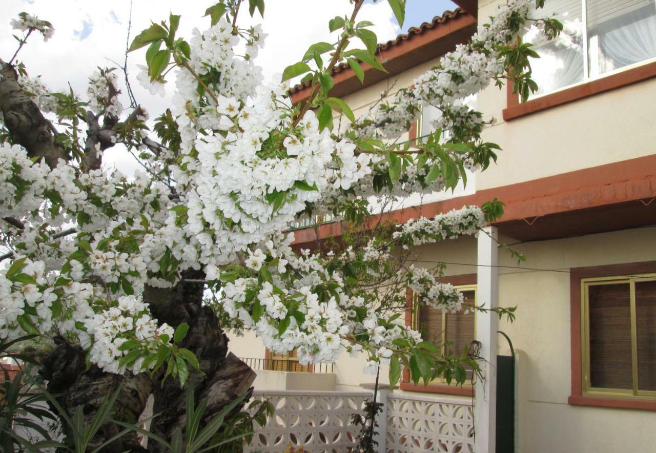 昆卡Cuencaloft El Patio De Pipo公寓 外观 照片